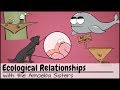 Ecological Relationships and Antlions