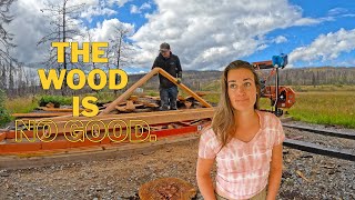 The Wood is No Good - A Hard Pill To Swallow.