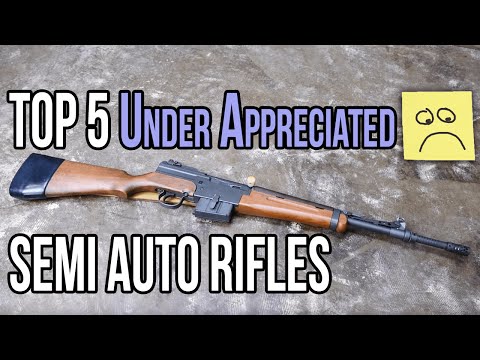 Top 5 Under Appreciated Semi Auto Rifles