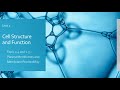 Cell Membrane Structure and Function