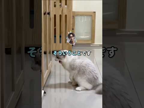 【ジョーク】奇跡が起きた