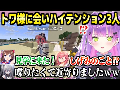 【ホロ鯖サマーパーク】トワ様の元を訪れた3人とのハイテンションな絡みまとめｗ「分かってるんよウチのキングは！」【ホロライブ 切り抜き/常闇トワ/さくらみこ/ときのそら/響咲リオナ/マイクラ】