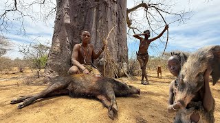 UNBELIEVABLE Bush Pig Hunt | life of hunters 