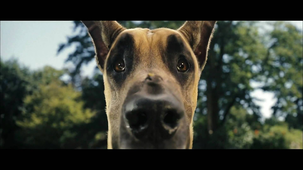 Marmaduke Vorschaubild des Trailers