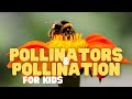 Pollination and Pollinator Importance