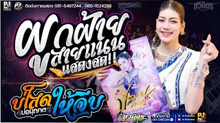 ฟังเต็มอิ่ม!!  ผูกฝ้ายสายแนน X บ่โสดบ่อนุญาตให้จีบ - คอนเสิร์ต [[ปลาย กนกพร]] @บุรีรัมย์
