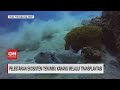 Coral Reefs and Marine Conservation in Indonesia