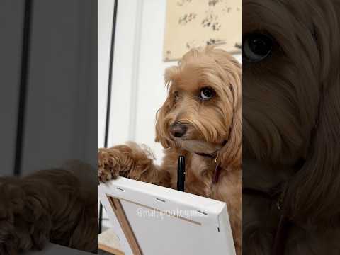 MIA IMPARA A DISEGNARE 😂