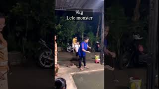 Detik detik lele monster di tarik ibu ibu 