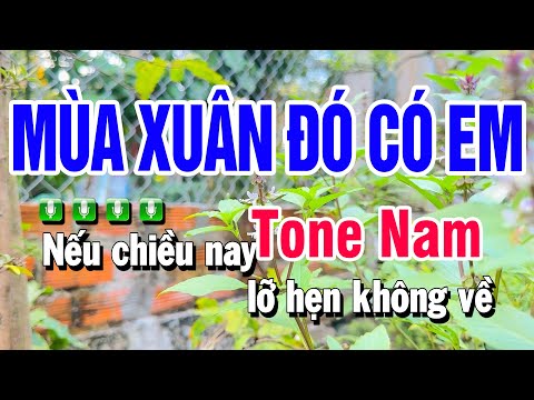 Karaoke Mùa Xuân Đó Có Em Nhạc Sống Tone Nam | Beat Huỳnh Anh