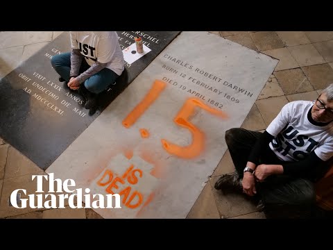 '1.5 is dead': Just Stop Oil activists paint over Charles Darwin grave