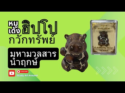 ฮิปโปเรียกทรัพย์หมูเด้งพระวิเวกาจารย์