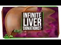 Understanding Liver Regrowth and Regeneration