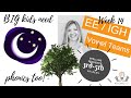 Decoding Vowel Teams: ee and igh