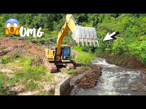 Incredible Cat 320D MATADOR excavator clearing TREE for new  Road Construction Machinery