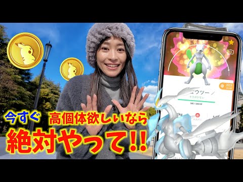 高個体欲しいなら今すぐやって！！旧正月イベント初日レポート【ポケモンGO】