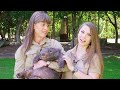 A Day in the Life of Elle the Wombat