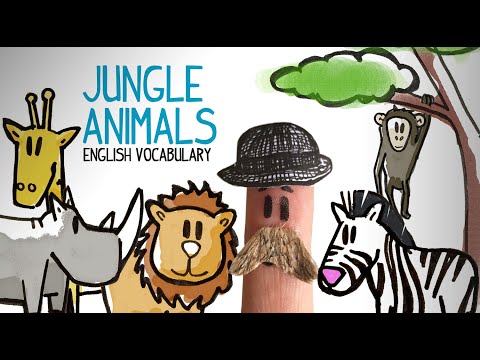 Animal in English, jungle animals vocabulary. Learn basic English