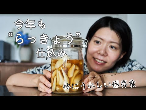 【今年もらっきょう仕込み！】らっきょうの黒酢漬けのレシピ・作り方