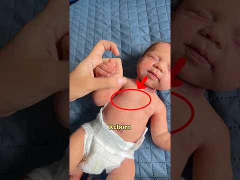 Os segredos que BEBÊ reborn esconde