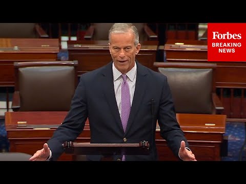 YouTube video thumbnail: John Thune Accuses Dems Of 'Letting Americans Go Hungry' Due To Government Shutdown