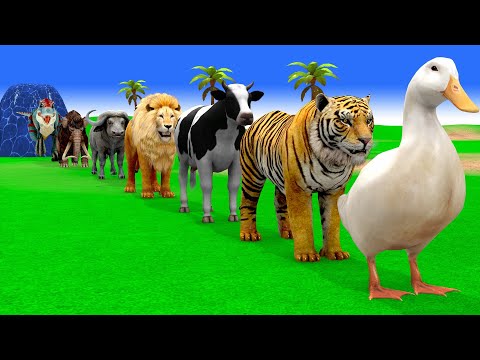 Long Slide Game with Cow Elephant Gorilla Hippopotamus Tiger 3d Animal Game Funny 3d Animals