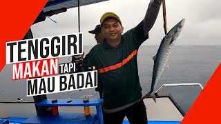 Berburu Tenggiri Disaat Badai Mengintai