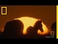 Journey of the Nomads