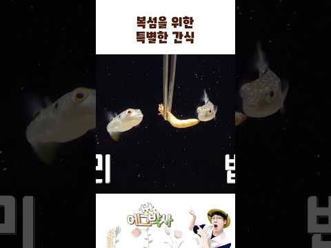 고단백 <strong>영양간식</strong>