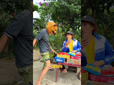 ¡Tommy al rescate! 🐶📱💞