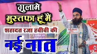 गुलामे मुस्तफा हूं मैं, गुलामे मुस्तफा हूं मैं || Shahadat Raza Habibi Ki Naat Sharif 2024