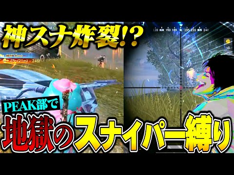 地獄のスナイパー縛りで神スナして暴走するへちょととんでもない粘りを見せるかいぼー【荒野行動】