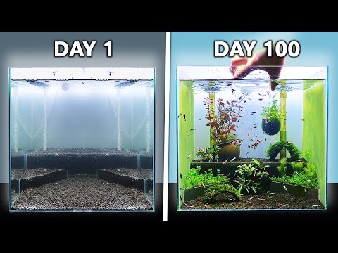 The Shrimp Paradise_ NEW Tank Setup for Caridina ( In this video I'm setting up another shrimp aquarium for high-end Caridina shrimp with undergravel f