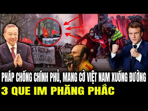 Pháp Chống Chính Phủ, Mang Cờ Việt Nam Xuống Đường: 3 Que Im Phăng Phắc | Lịch Sử Quân Sự