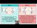 Mitosis vs Meiosis: Key Concepts and Differences