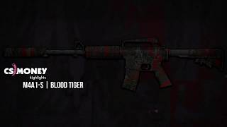 M4A1-S Blood Tiger Gameplay