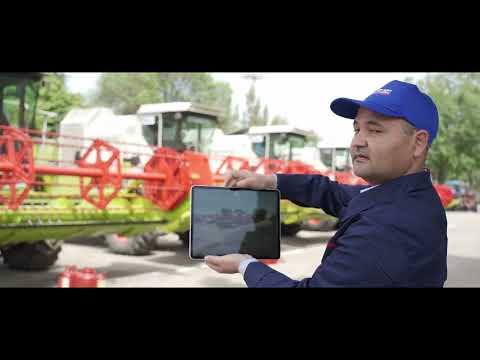 Art Soft Holding company