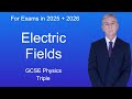 Electric Fields and Forces Concepts