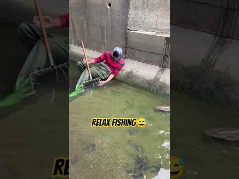 Ketika hidup dibikin enjoy😎🎣 #pov #fishing #enjoy #life ##vibes #mancing #santai #ytshorts #funny