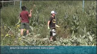 Летняя подработка школьников: в парках, школах и детских садах