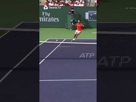 Roger Federer Wins CRAZY Point Vs Novak Djokovic 🚀