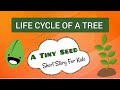 Seed Growth and Life Cycle