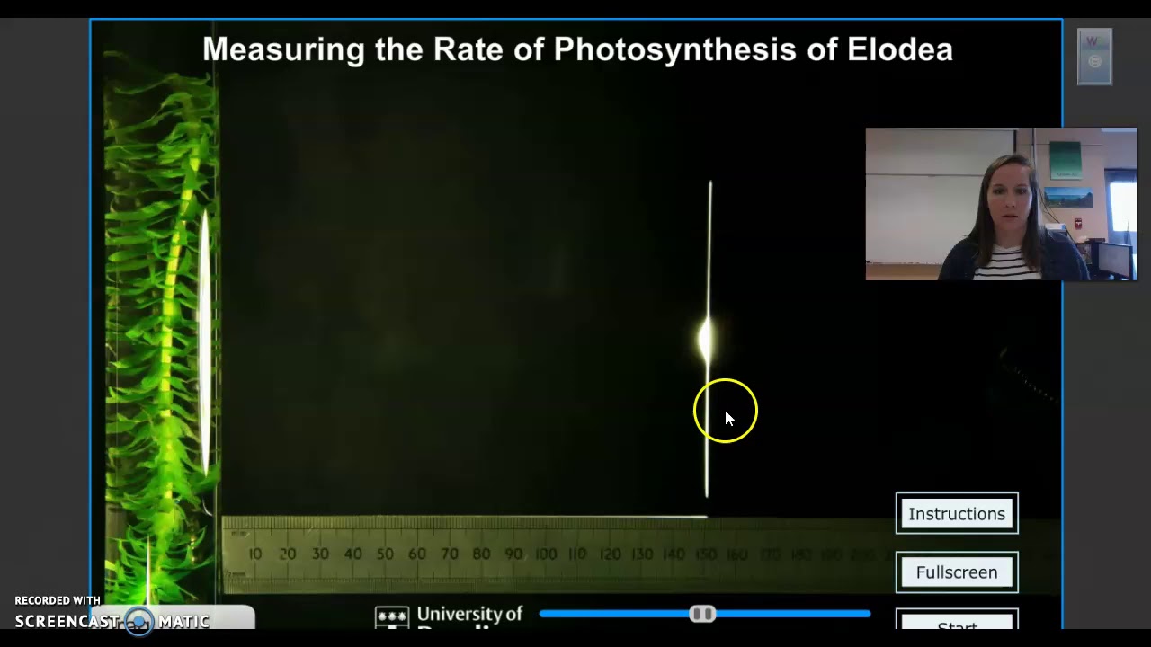 Virtual Photosynthesis Lab Answer Key: Unleashing the Power of Artificial Photosynthesis