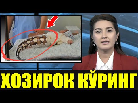 ДАХШАТ ЯРМИ ИЛОН ЧАҚАЛОҚ ТОПИЛДИ