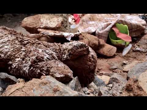 YouTube video thumbnail: Devastating Floods Highlight Climate Change Impact on Cape Verde