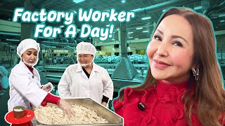 I Just Learned How To Pack Canned Mackerel in a Factory! | Small Laude