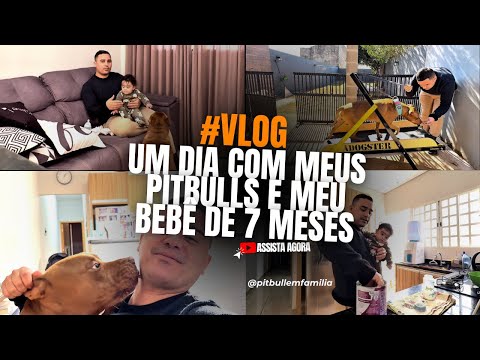 VLOG de um dia com meus Pitbulls 🤎🐾 #assista