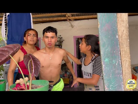 los vecinos en Colombia 😂🤣 // los patojos