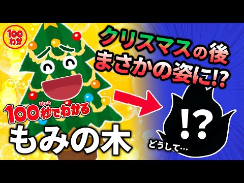 早くクリスマスツリーになりたい！アンデルセン童話「もみの木」【100秒でわかる名作劇場】