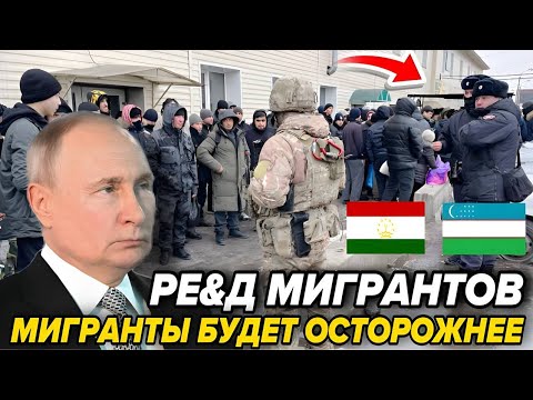РЕ&Д МИГРАНТОВ МИГРАНТЫ БУДЕТ ОСТОРОЖНЕЕ